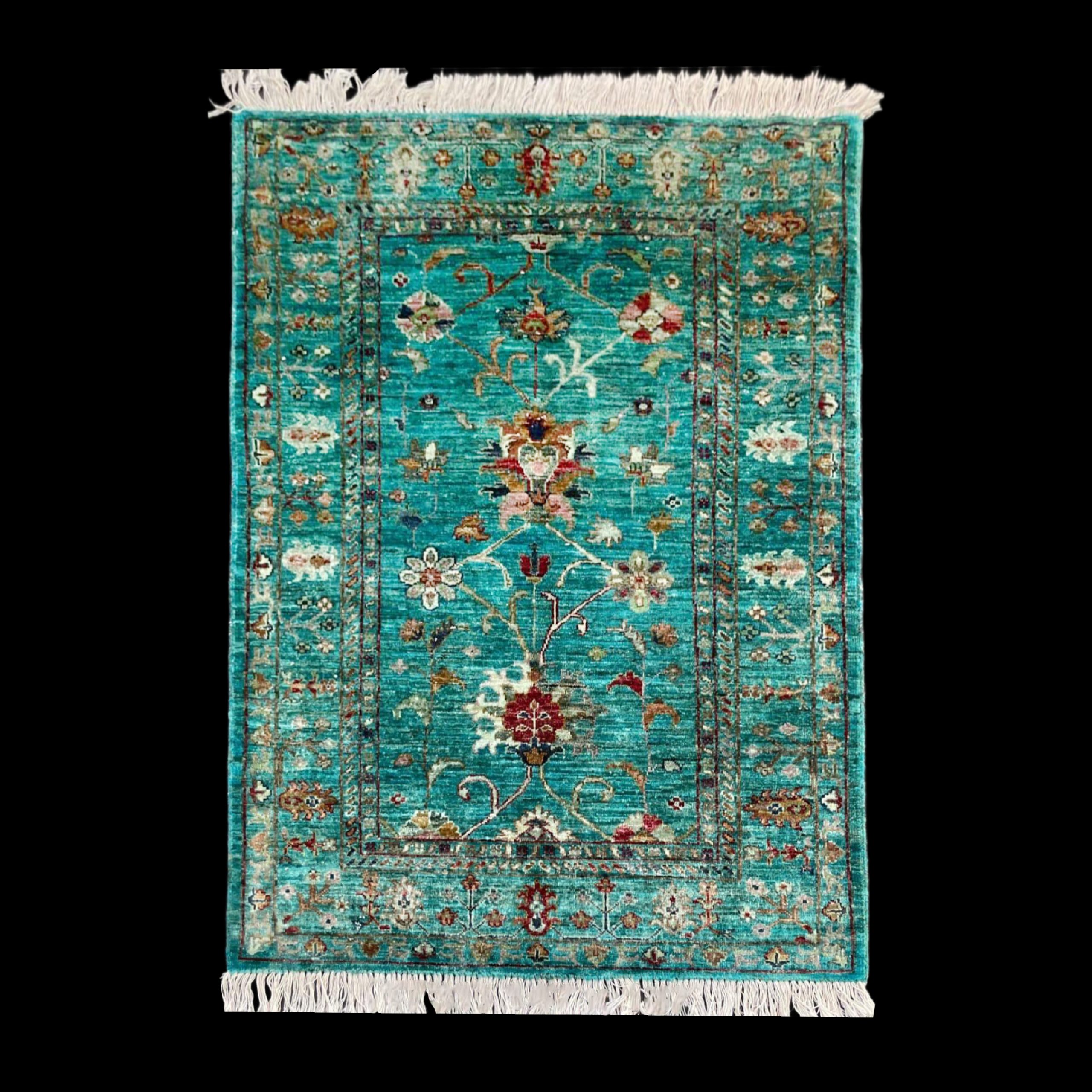 ZK-SPS250924-1731-01