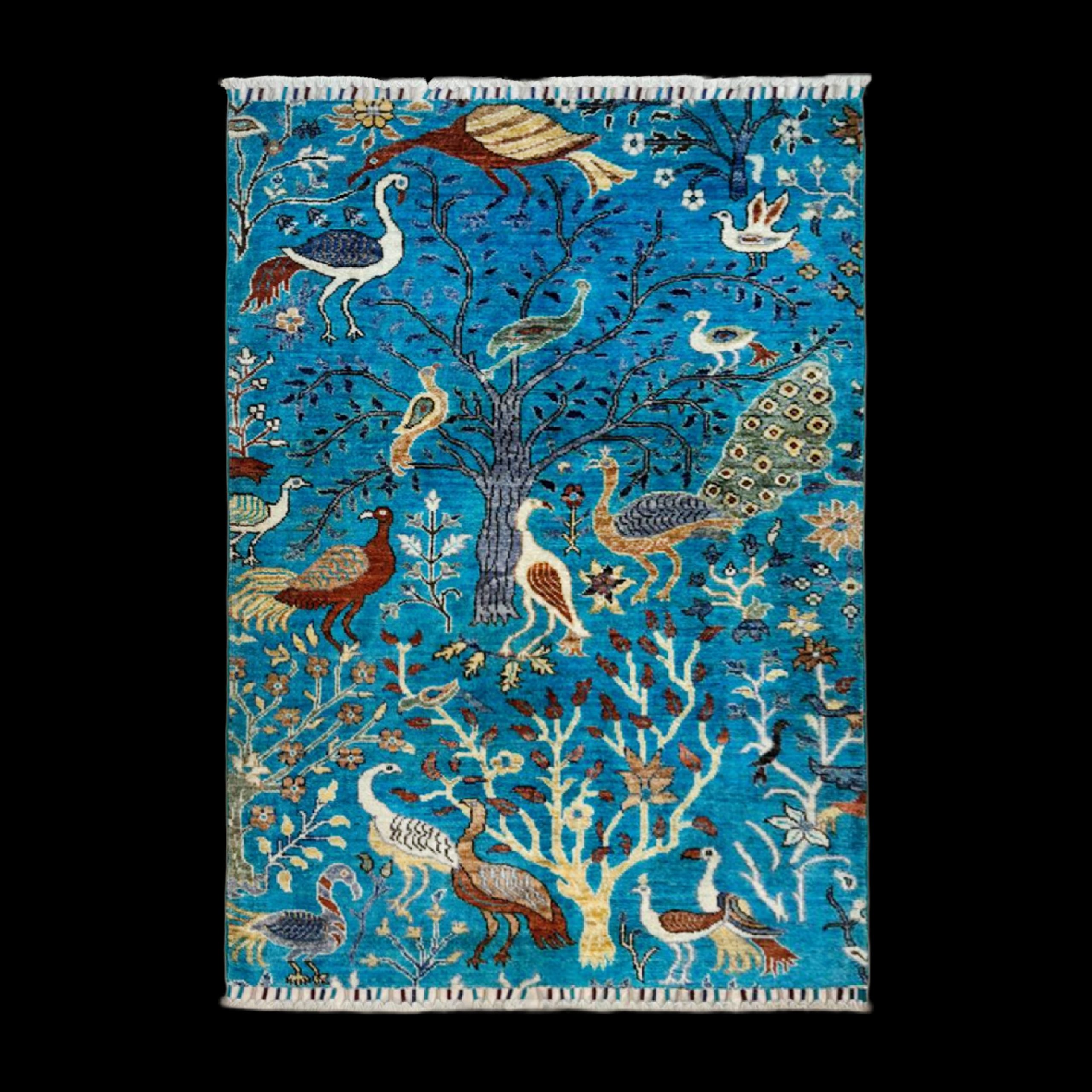 ZK-SPS251215-11425-07