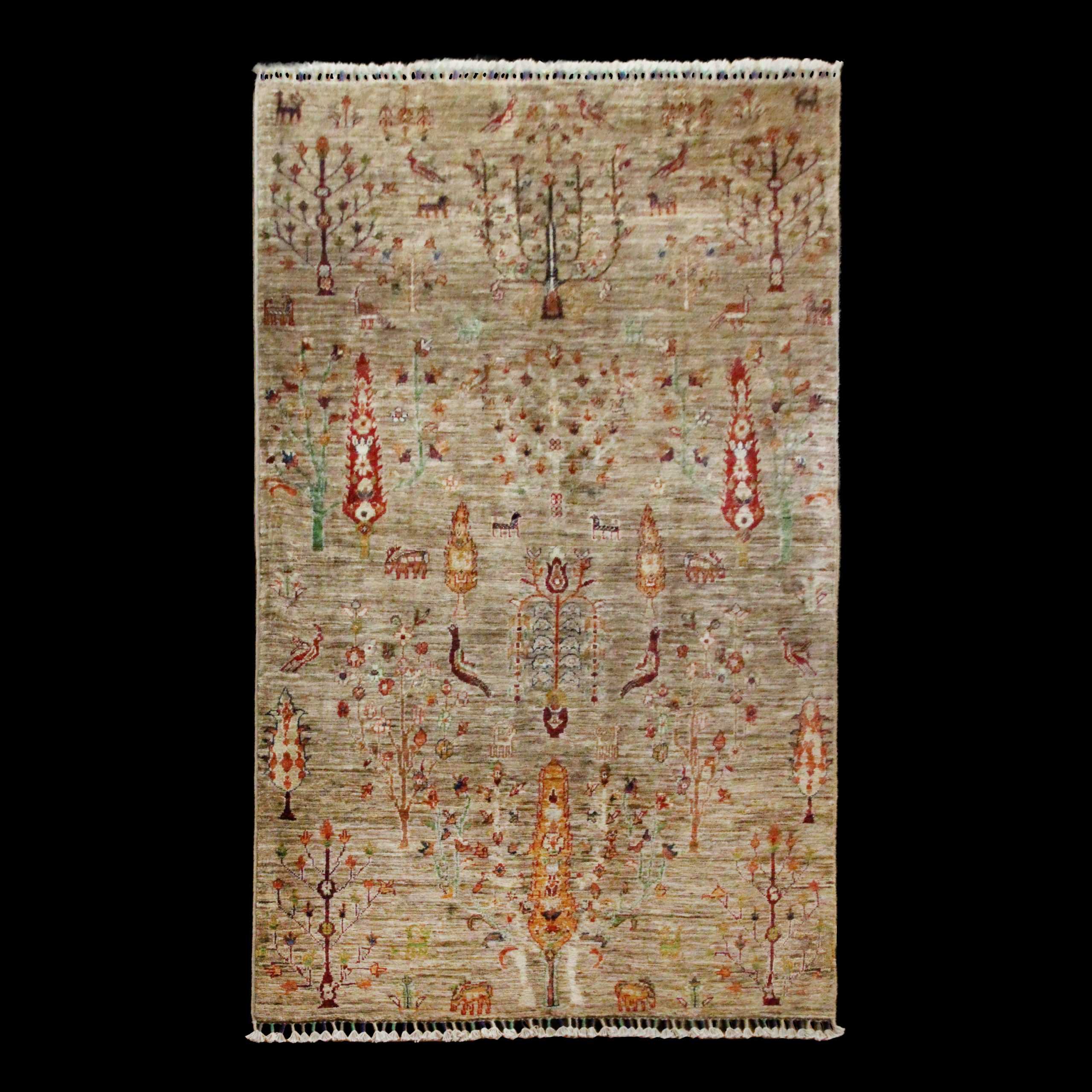 ZK-SPS251112-1246-05