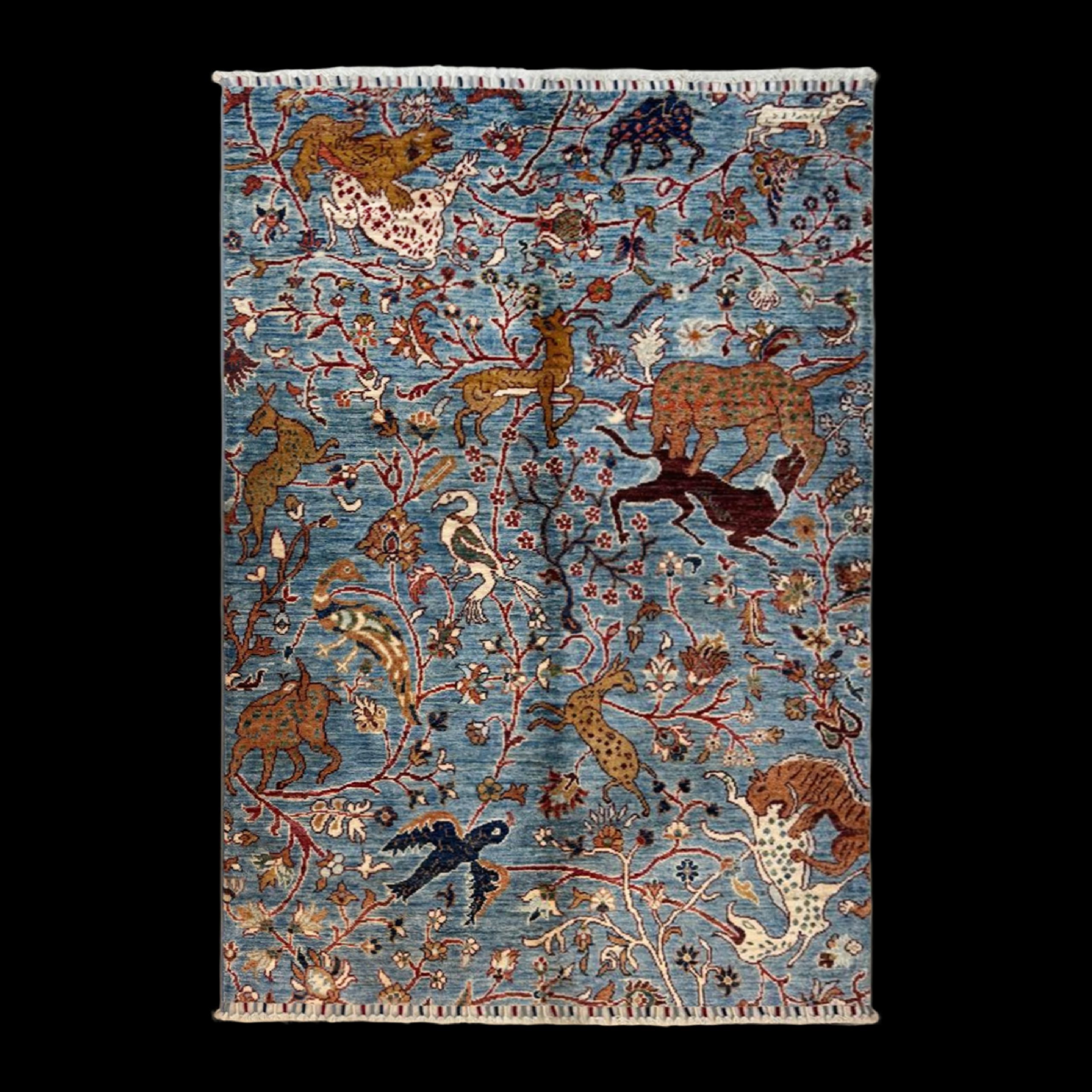 ZK-SPS251215-9885-09